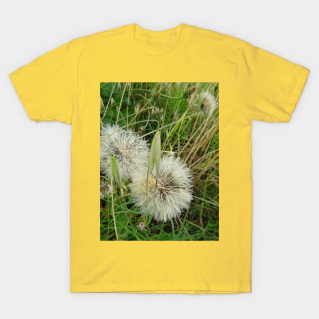 Nature - 1 T-Shirt by walter festuccia